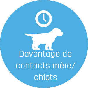contacts mère chiot