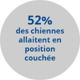 82% des chiennes allaitent en position couchée sans ADAPTIL